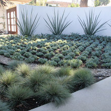 front flower bed