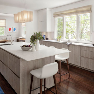 Contemporary Living in McLean