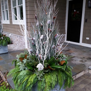 Winter Container Gardens