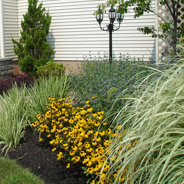 Rudbeckia, variegated iris, ornamental grass, Russian sage