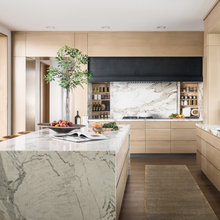 Contemporary kitchens