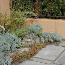 ACs backyard