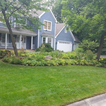 Rockford mulch-less front yard