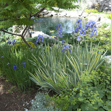 landscaping inspiration