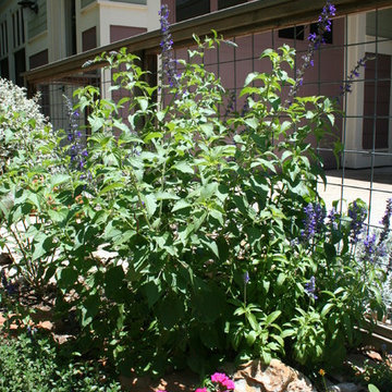 Tarrytown Bungalow