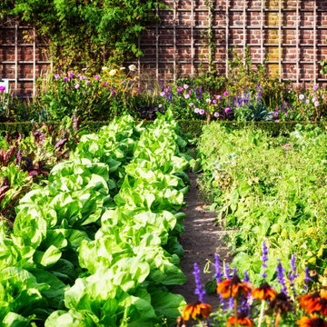 Vegetable Gardens
