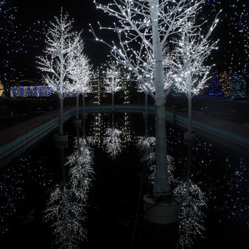 Christmas Lights