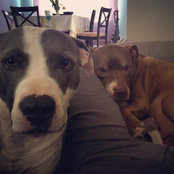 ziehmsa's photo