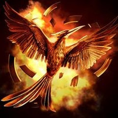Qodesh Graphics
