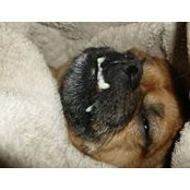 Janine Hummel's photo