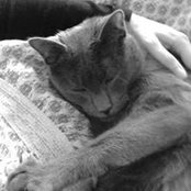 Melissa Tanquerel's photo