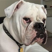Jennifer Prebay's photo