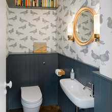 Downstairs loo