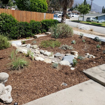 FRONT YARD: CA Native backyard