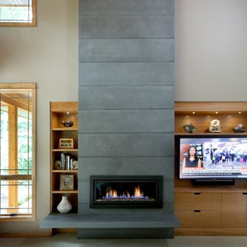 Holland Contemporary Lakeshore Residence