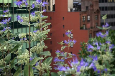 Inspiration for a landscaping in New York.