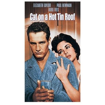 Cat On A Hot Tin Roof Print