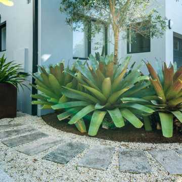 Coastal front garden design - Dover Heights