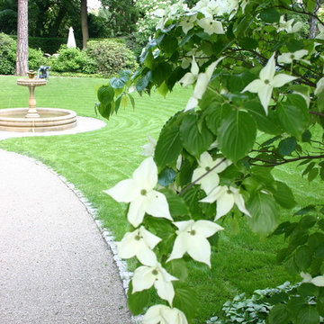 Impressionen aus dem Garten