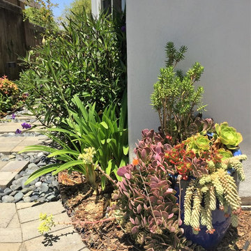 Succulent planter