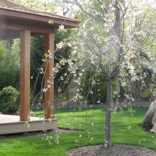 gazebo