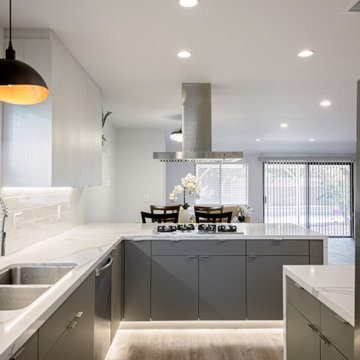 Modern Kitchen Rebirth