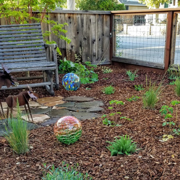 California Native Plant Gardens