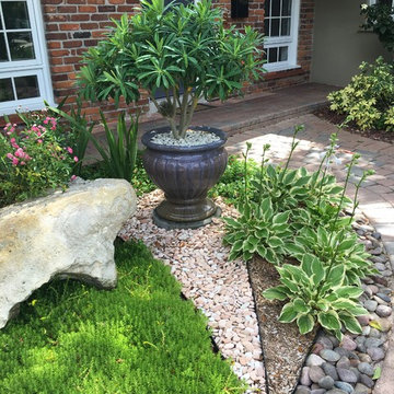 Cottage Garden in the Tropics