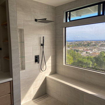 Honolulu Renovation