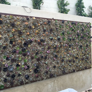Dana Point Philharmonic House of Design