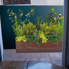 Outdoor Space