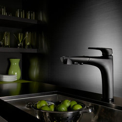 Danze Taju Single Handle Pull-Out Kitchen Faucet - Kitchen Faucets