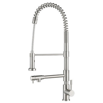 Professio F Stainless Steel Kitchen Faucet, Pull Out and Pot Filler, Stainless