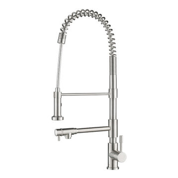 Professio F Stainless Steel Kitchen Faucet, Pull Out and Pot Filler, Stainless