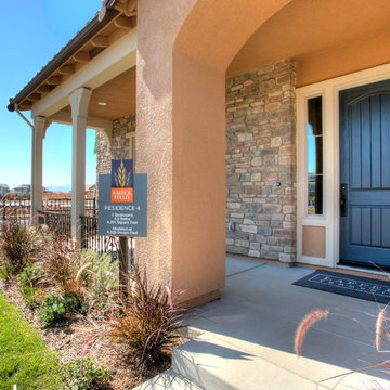 Amber Field | Residence 4
