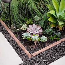 Landscaping ideas