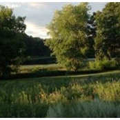 Nikki Shinnick's photo