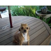 Mike Misquez's photo