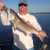 Chris Shell's photo