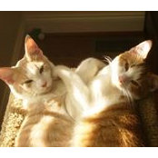 Deborah Kaiser's photo