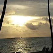 Adel Brown Ostrom's photo