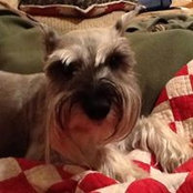 Sherrie Dillman's photo