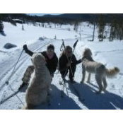 Jane Morrell's photo