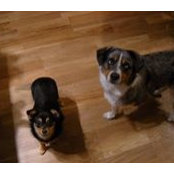 Lynette Odenbach's photo