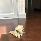 Foto von Юля Косарева