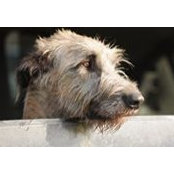 Chuck Finberg's photo