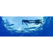 Ross Miller's photo