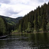 Anca Bejan's photo