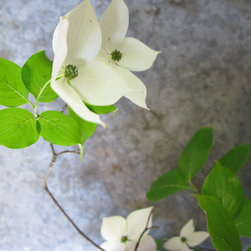 Flora Verdura - Products