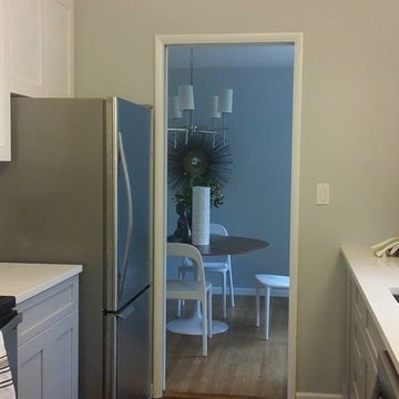 Sol & Darcy's New Kitchen